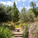 MUCBO | Jardí Botànic de Sóller - Balearic Museum of Natural Sciences - In-Depth Review