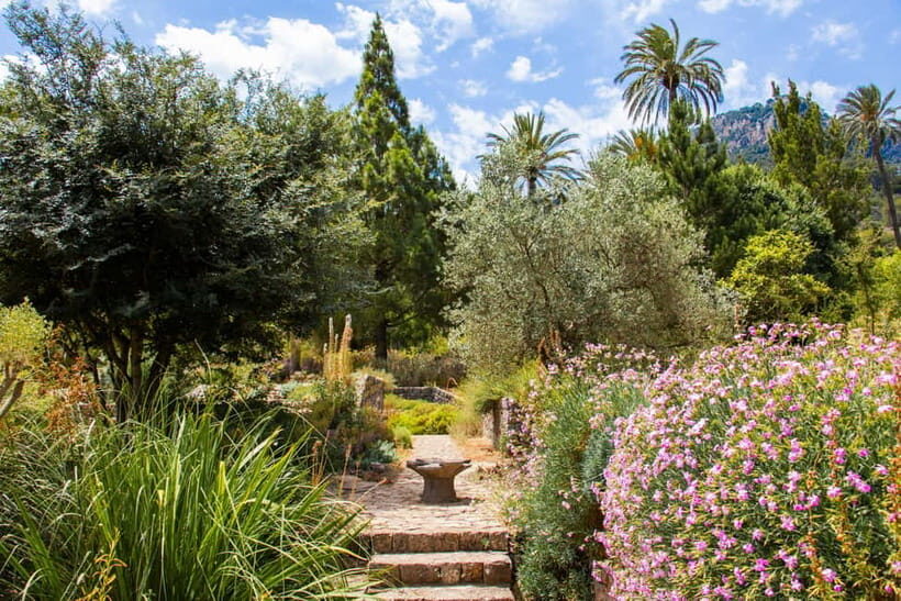 MUCBO | Jardí Botànic de Sóller - Balearic Museum of Natural Sciences - In-Depth Review