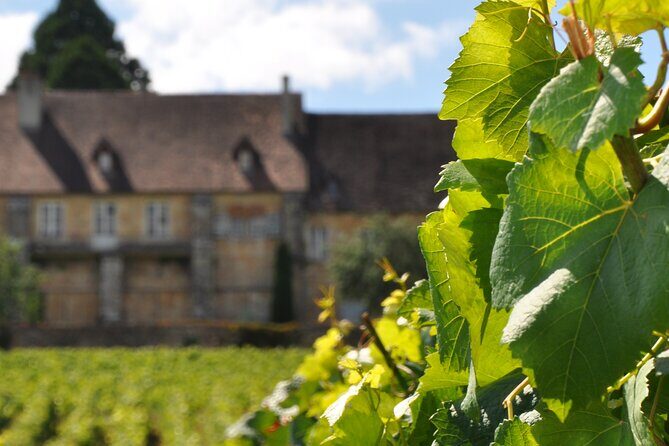 Multi Day Private Tour Prestige Burgundy with 12 Premiers & Grands Crus - Who Should Consider This Tour?
