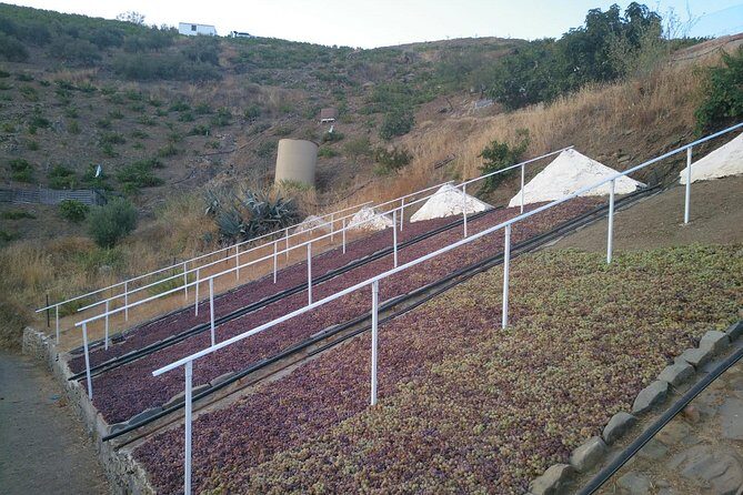 Muscat Raisin Route - Small group with lunch included - Authentic Cultural Insights