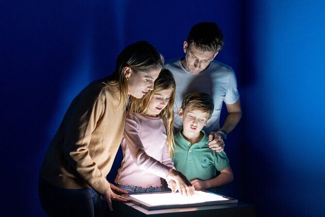 Museum of Illusions Alicante Entrance ticket - What to Expect During Your Visit