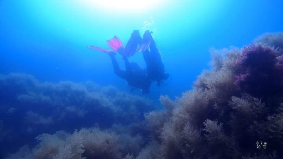 My first scuba dive in the Ocean from Madeira - Who Will Love This Experience?