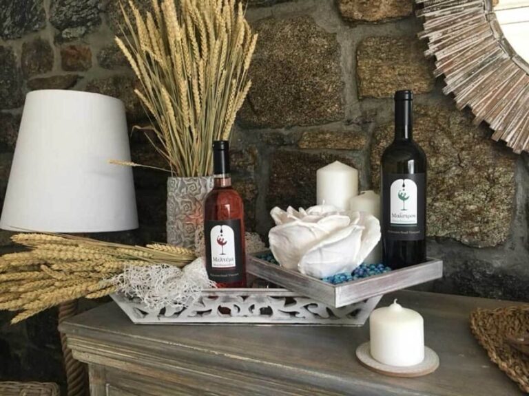 Mykonos: Half-Day Wine Tasting and Snack at a Local House - An In-Depth Look at the Experience