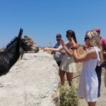Mykonos: Highlights Tour with Panagia Tourliani Monastery - Practical Details: What You Need to Know