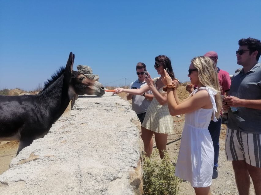Mykonos: Highlights Tour with Panagia Tourliani Monastery - Practical Details: What You Need to Know