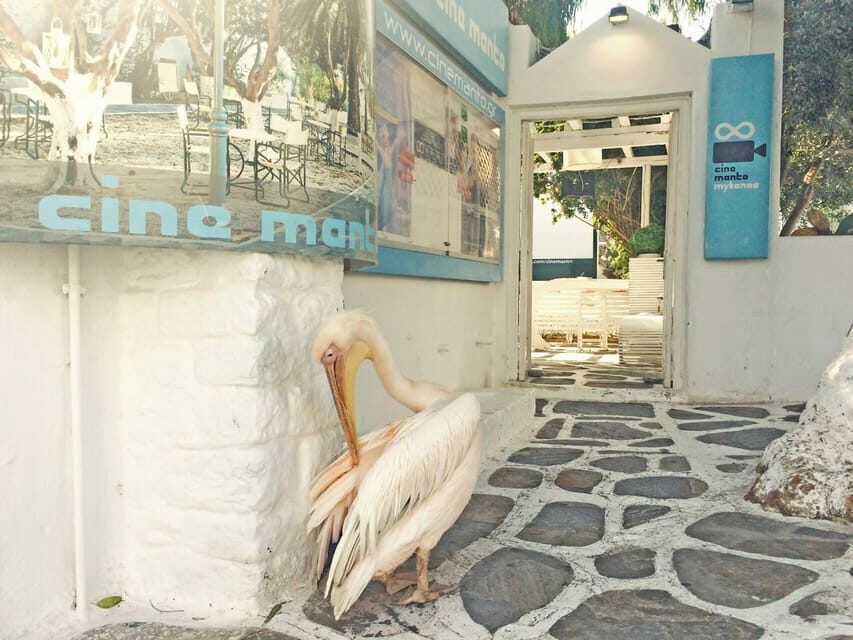 Mykonos: Old Town Walking Tour with Certified Local Guide - Final Thoughts
