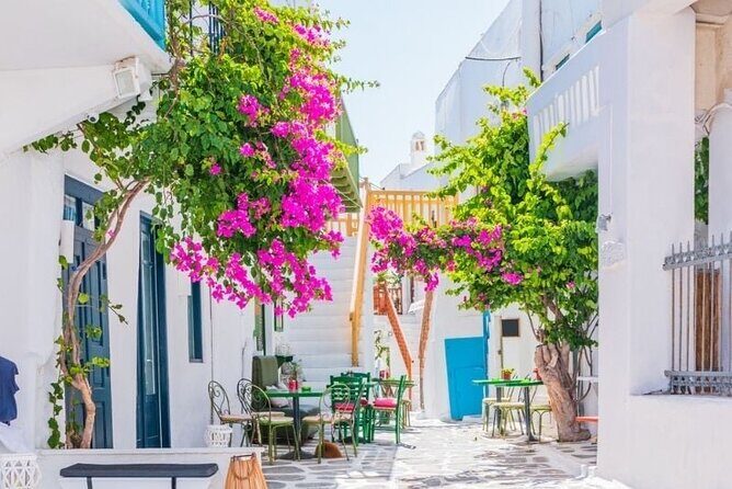 Mykonos tour: Private highlights Tour with a Local - Final Thoughts