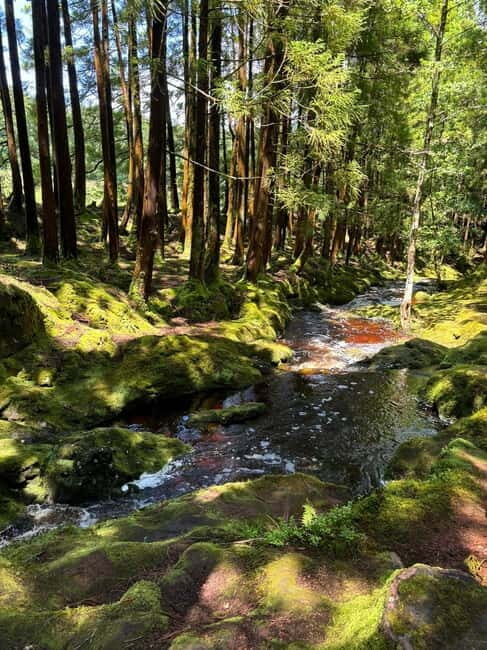 Mystery Tour of Terceira Island - A Closer Look at the Mystery Tour of Terceira Island