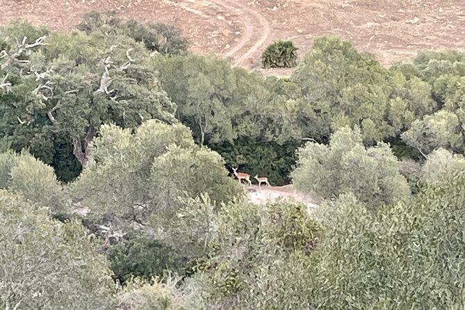 Natural Reserve on Electric Mountain Bike with Guide - Who Would Love This Tour?