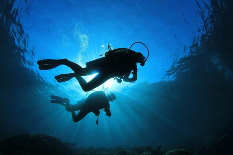 No Experience Needed-Discover Scuba Diving with Pickup - Why This Tour Offers Great Value