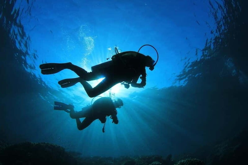 No Experience Needed-Discover Scuba Diving with Pickup - Why This Tour Offers Great Value
