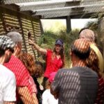 Normandy Battlefields Half Day Tour - Canadian World War II Sites - Why This Tour Stands Out