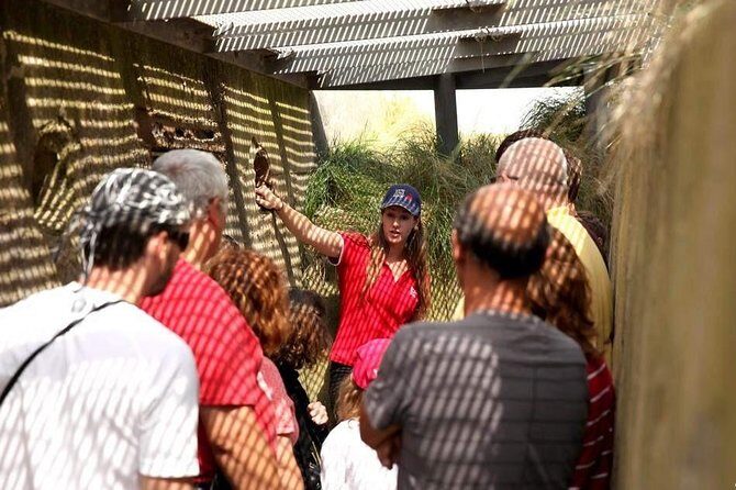 Normandy Battlefields Half Day Tour - Canadian World War II Sites - Why This Tour Stands Out