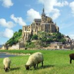Normandy to Mont-Saint-Michel: Private Tour up to 8 pax per group - Visiting the Abbey and Its Architectural Marvels