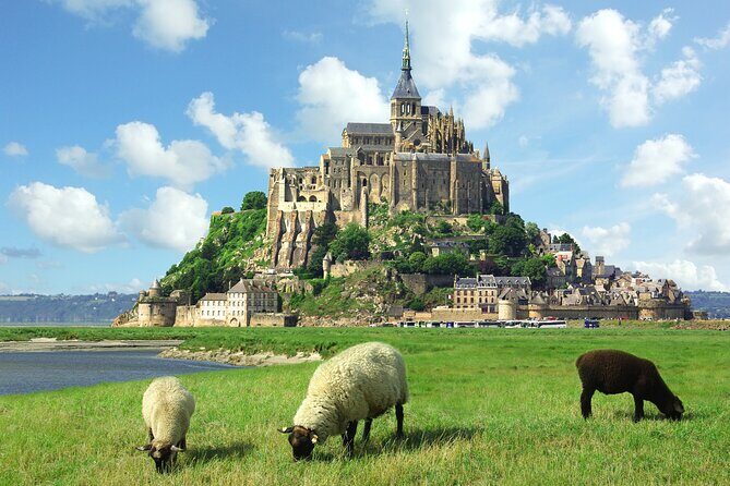 Normandy to Mont-Saint-Michel: Private Tour up to 8 pax per group - Visiting the Abbey and Its Architectural Marvels