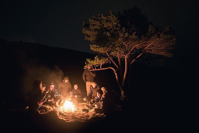 Northern Lights Minibus Chase from Tromso - Who Should Consider This Tour?