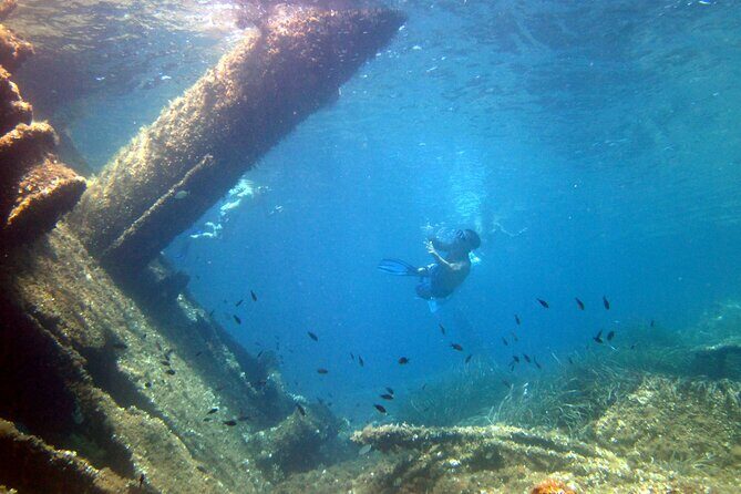 Observation of Dolphins and Snorkeling in a rubber boat in Olbia - Who Will Love This Tour?
