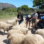 Off-road Buggy Safari in Crete with a Guide - What Travelers Say