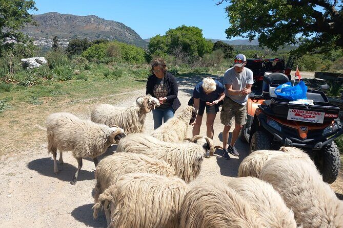 Off-road Buggy Safari in Crete with a Guide - What Travelers Say