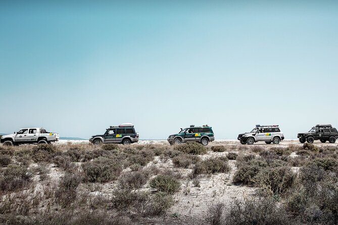 Off Road Safari Experience in Sithonia Halkidiki - An In-Depth Look at the Off Road Safari Experience