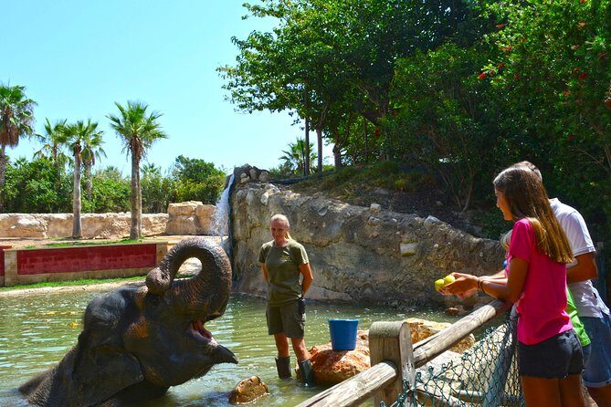 Offer Summer Terra Natura entrance ticket - Final thoughts: Is Terra Natura Worth It?
