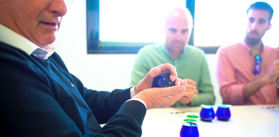 OleoAlmanzora: Guided tour + Masterclass of EVOO tasting Eng - Practical Details and Value