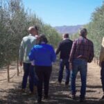OleoAlmanzora: Guided tour & tasting + Pulpí Geode (6-hours) - A Deep Dive into the Pulpí Experience