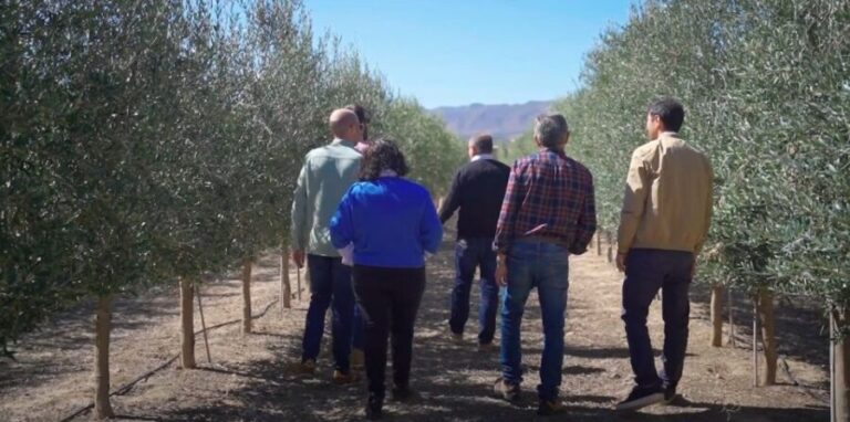 OleoAlmanzora: Guided tour & tasting + Pulpí Geode (6-hours) - A Deep Dive into the Pulpí Experience