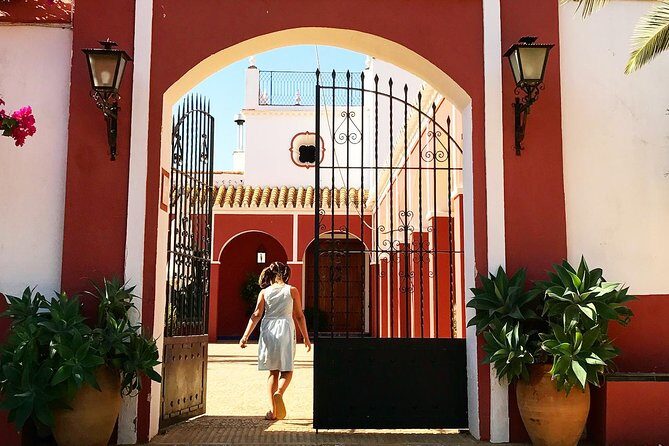 Oleotourism and olive oil tasting in Seville - Private tour - In-Depth Review: Exploring the Hacienda Guzmán Experience