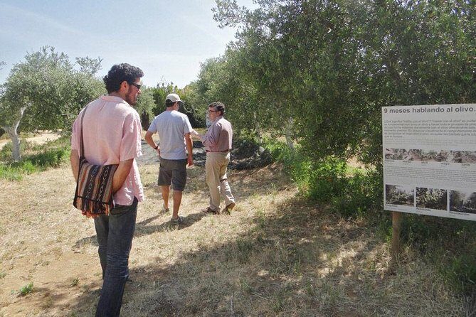 Olive Oil Tasting and Culinary Day Trip in Carmona - Authentic Experiences and Authentic Insights