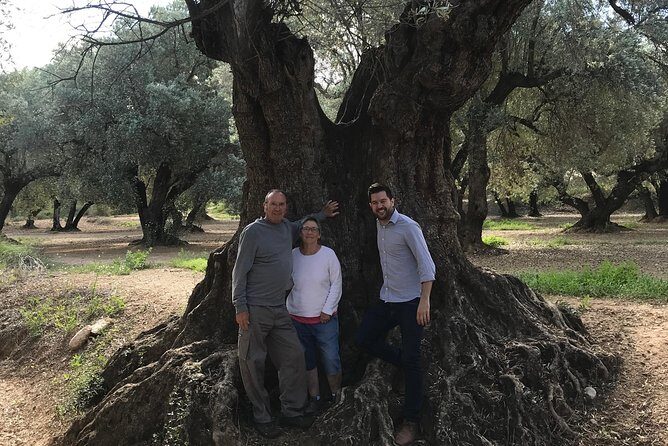 Olive Oil Tour and Visit to Belchite Old Town - A Deep Dive Into the Experience