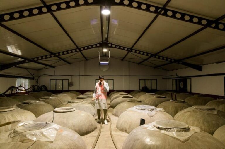 OLIVE OIL & WINE TOUR Organic fields - 5 Wines + 3Olive Oils - An In-Depth Look at the Olive Oil & Wine Tour