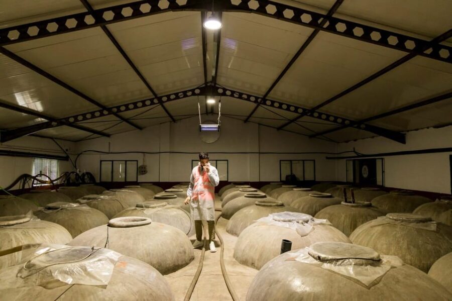 OLIVE OIL & WINE TOUR Organic fields - 5 Wines + 3Olive Oils - An In-Depth Look at the Olive Oil & Wine Tour