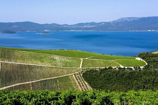 One Way Private Transfer from Split to Dubrovnik - The Experience: What to Expect from Split to Dubrovnik