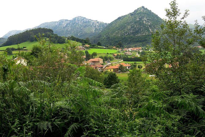 One Week Spanish Course At Your Tutor's Home In The North Of Spain - A Deep Dive into the Experience