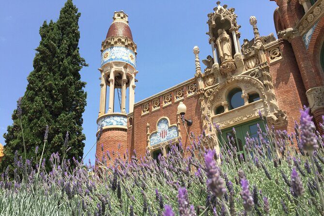 Online Experience: Zoom around panoramic Barcelona - Practical Details