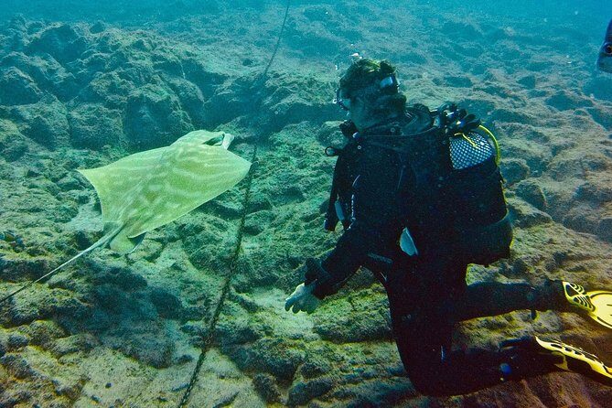 OPEN WATER CERTIFICATION - Become an autonomous diver up to 18m ! - Who Will Love This Experience?