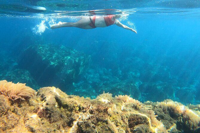 Open-Water Swimming in Madeira - What the Tour Includes and What to Consider