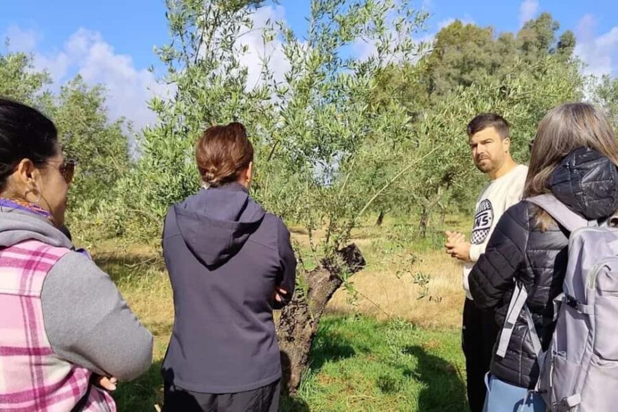 Organic olive oil tasting and visit to a family olive grove with fruit and a gift - Final Thoughts: Is This Tour Right for You?