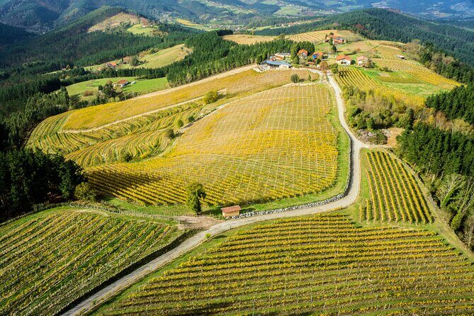 Organic Winery Visit with Tasting in Bilbao - Final Thoughts: Is It Worth It?