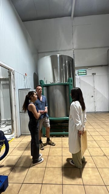 "Oro Bailén": Tour of Oro Bailen Grove + Mill + Tasting - The Experience in Detail