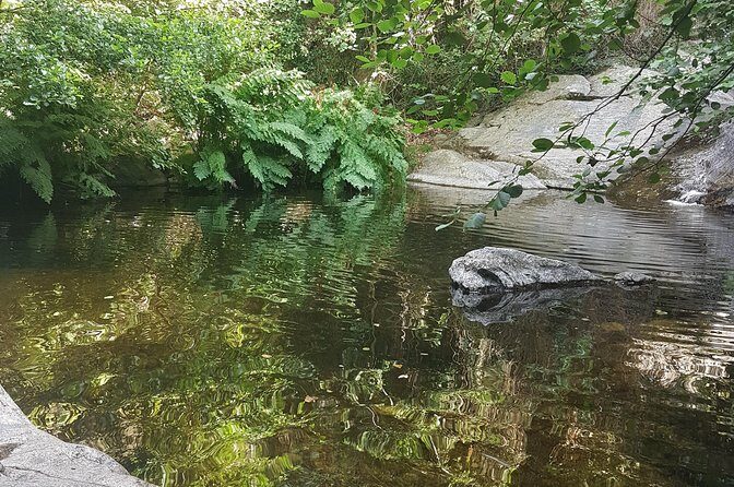 Over Water and Bird Songs - A Deep Dive into Over Water and Bird Songs