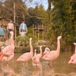 Overloon: ZooParc Entrance Ticket - The Practical Side: Details and Tips