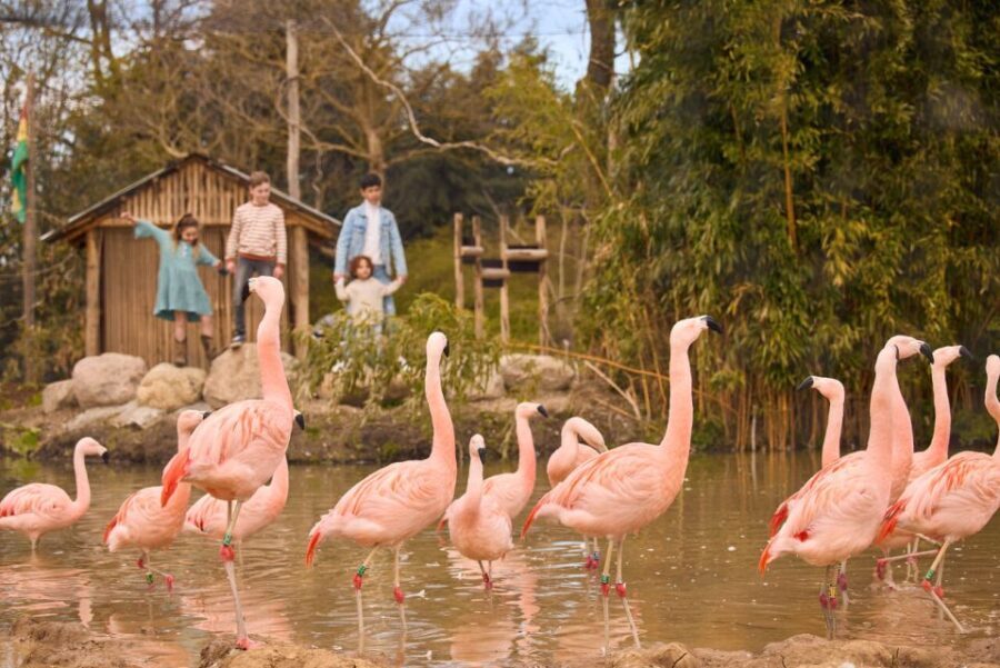 Overloon: ZooParc Entrance Ticket - The Practical Side: Details and Tips