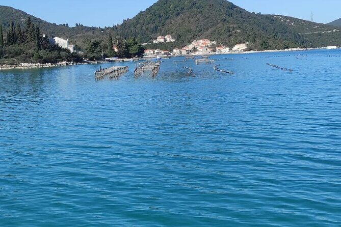 Oysters and mussels tasting with wine in Ston and Peljeac - What Could Be Better