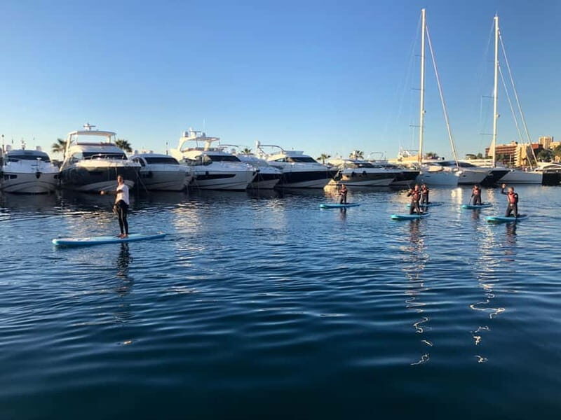 Paddle surf excursion - Exploring the Mallorca Coast by Paddle Surf: A Detailed Look