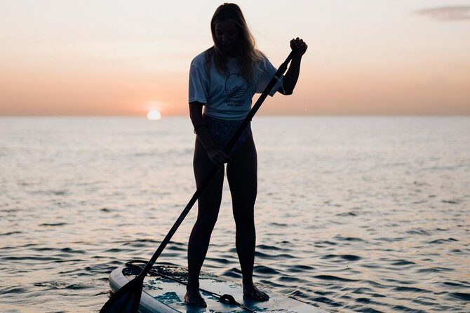 Paddle surf guided session - An In-Depth Look at the Barcelona Paddle Surf Experience
