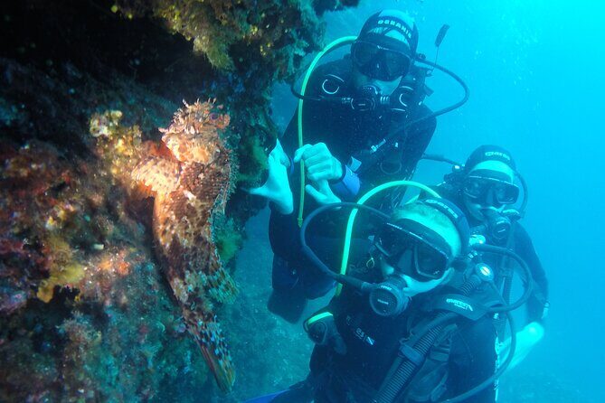 PADI Discover Scuba Diving in Dubrovnik - Logistics and Practical Details
