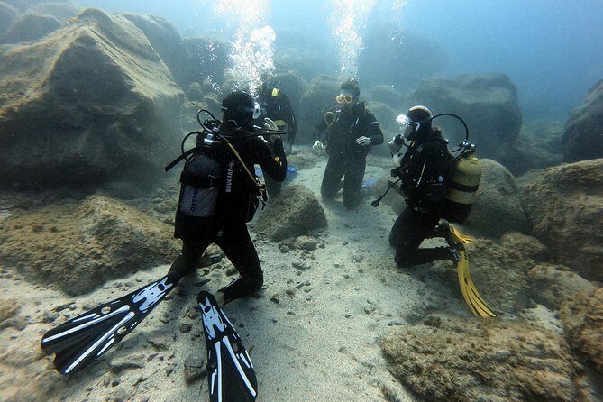 PADI Open Water Course in Costa Adeje - An In-Depth Look at the PADI Open Water Course