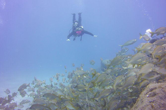 PADI Open Water Diver Course - The Sum Up